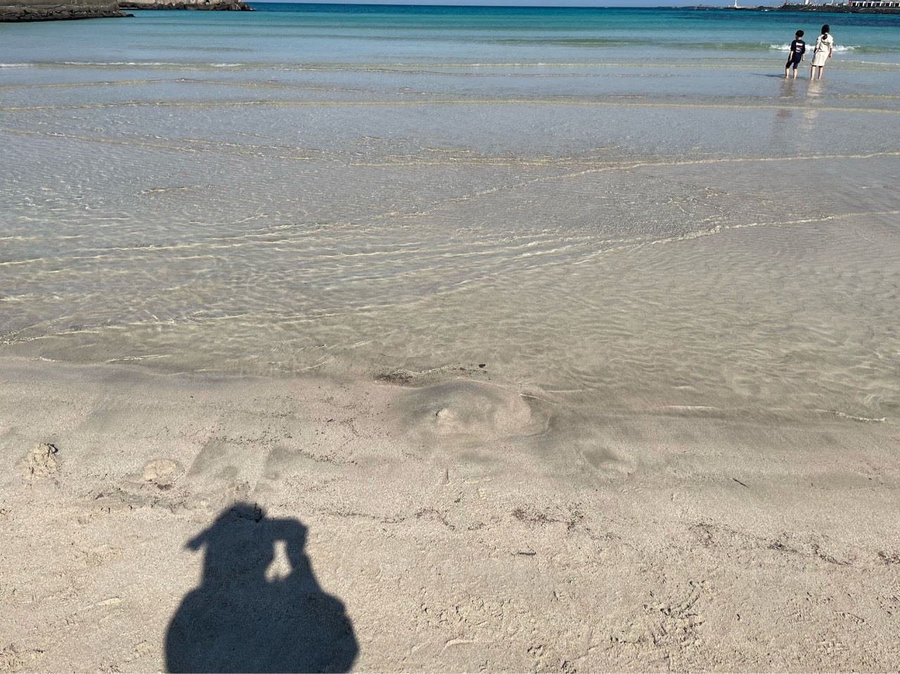 조이로운생활joy