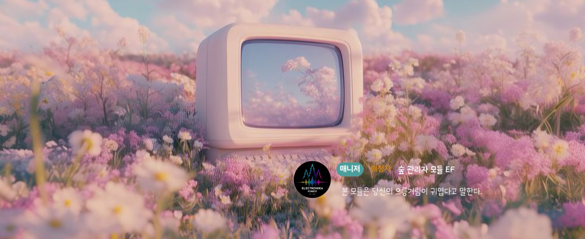 엔티티 ᴇɴᴛɪᴛʏ