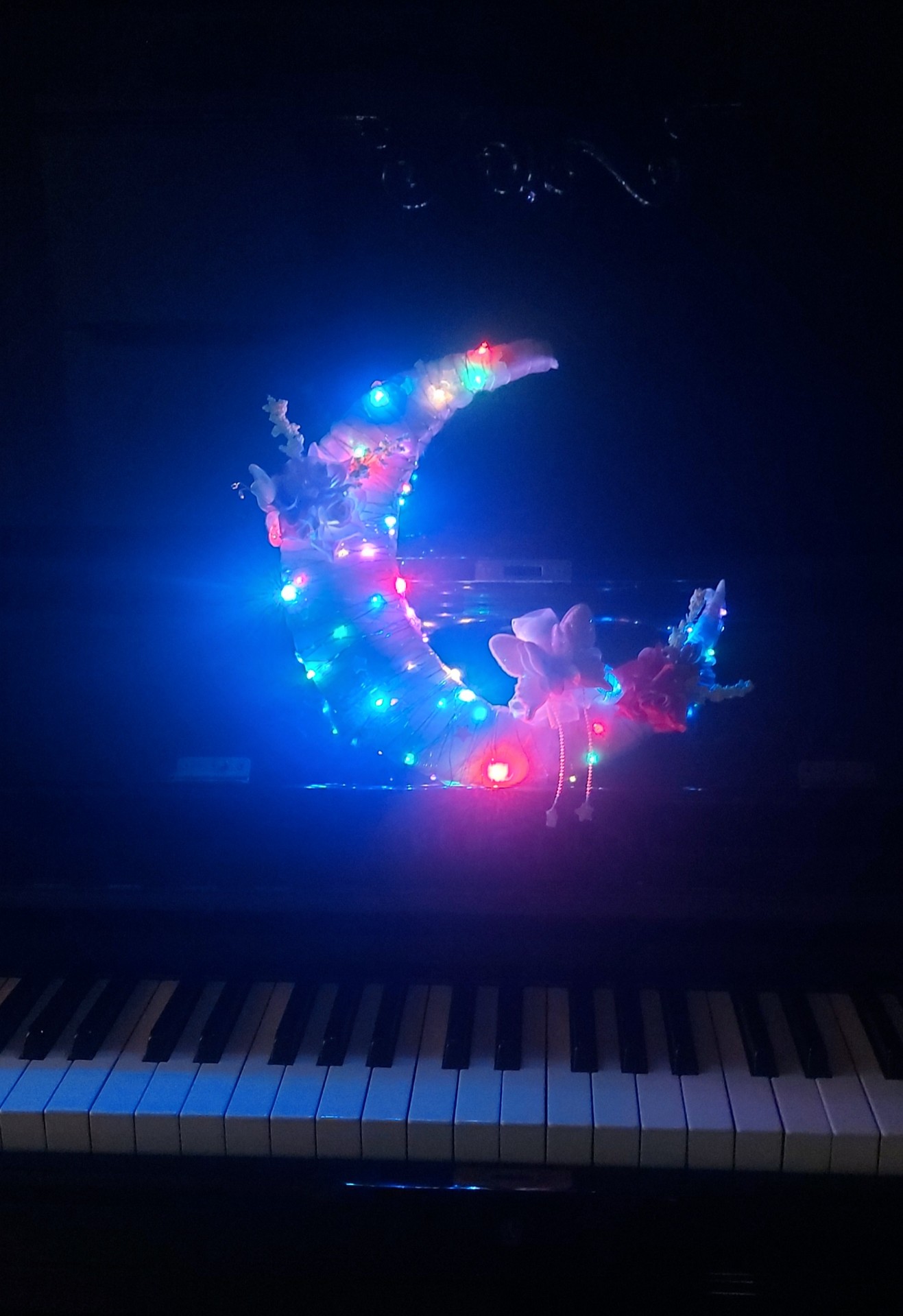 瑟(슬   ͙.·☽,🔹)