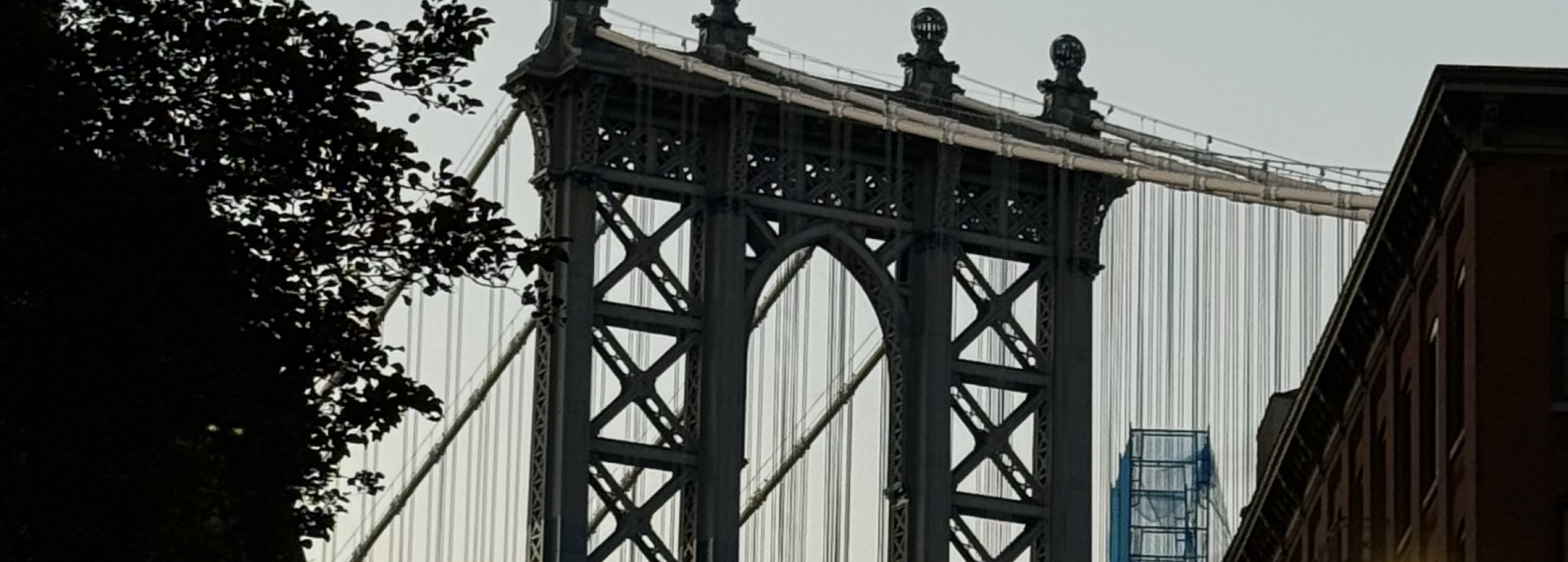 𝙇𝙖𝙣𝙜𝙨🎧🩶