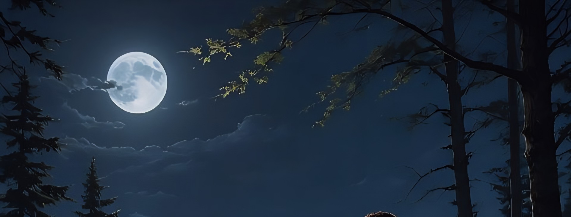 ꒰১☀️໒꒱ 효 영 