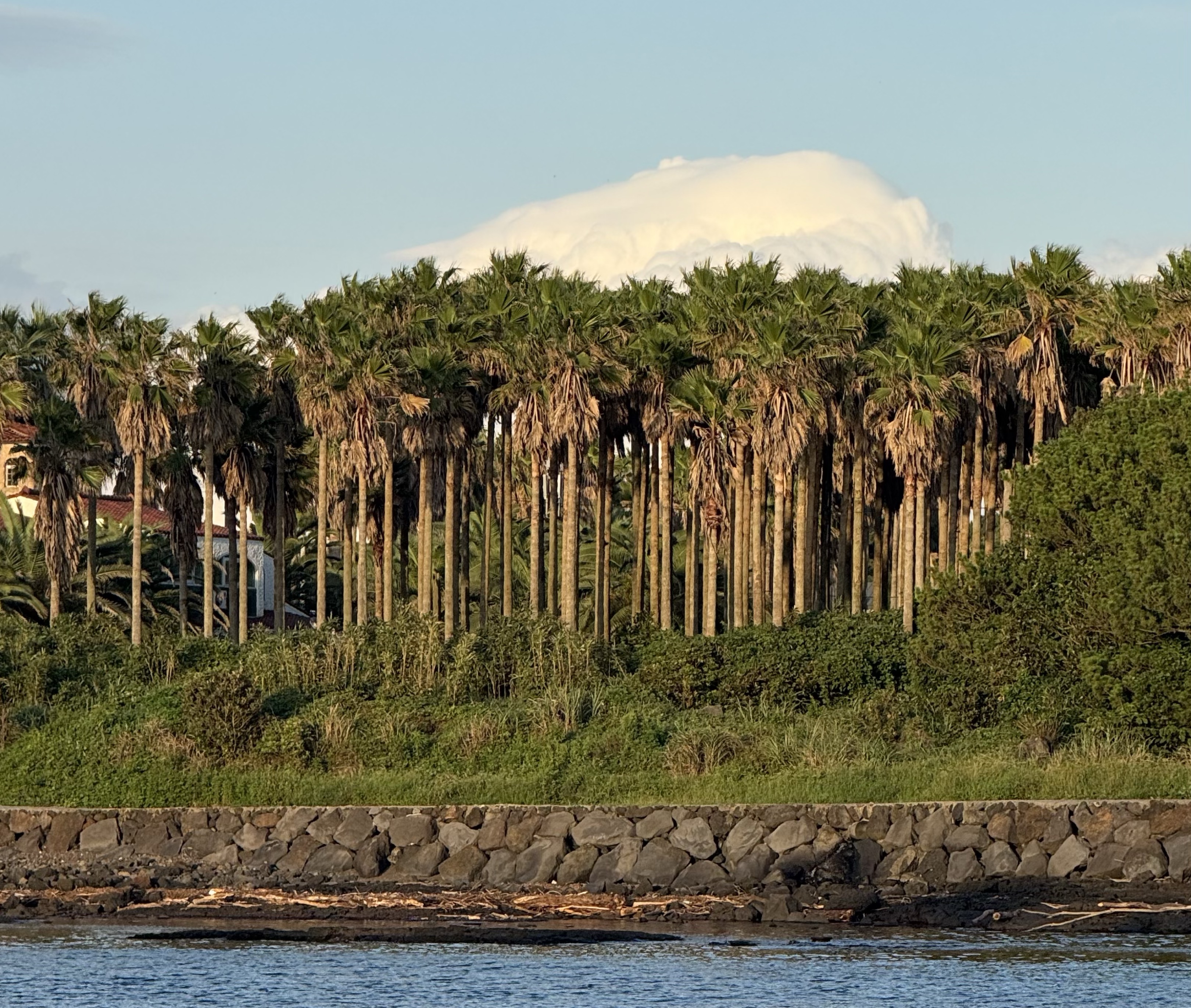 「𝙇𝙖𝙣𝙜𝙨🎧🩶」