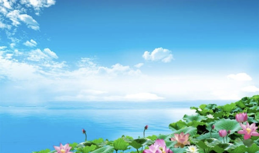 天法花(천법화)_하늘에 핀 불교꽃🕉