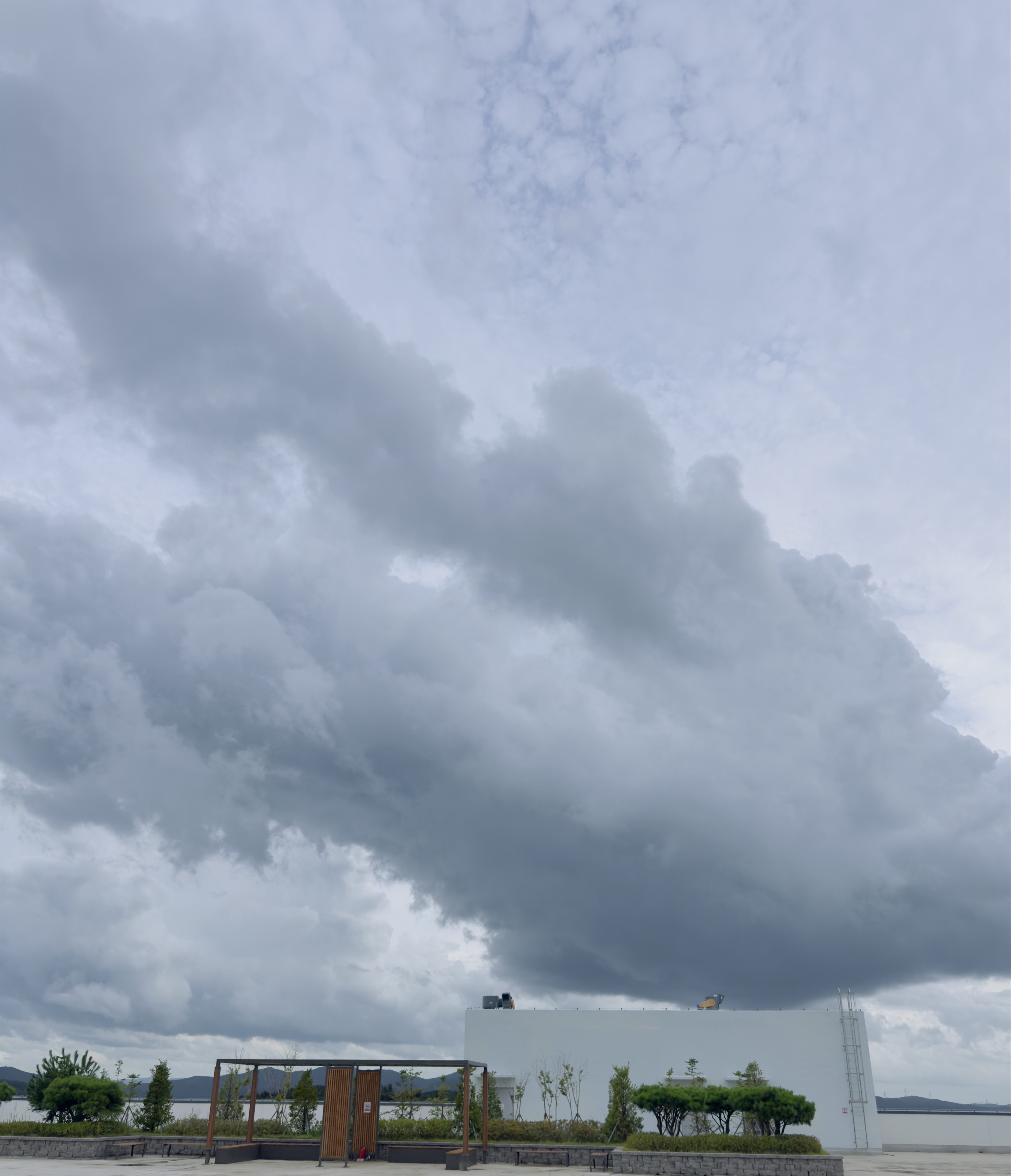 🏮[ 주 호  _ ]🍶