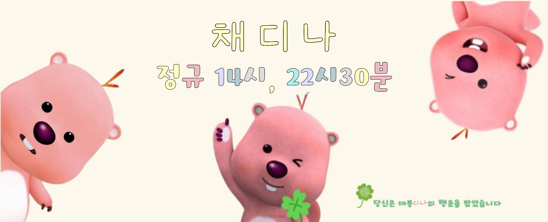 채 콩