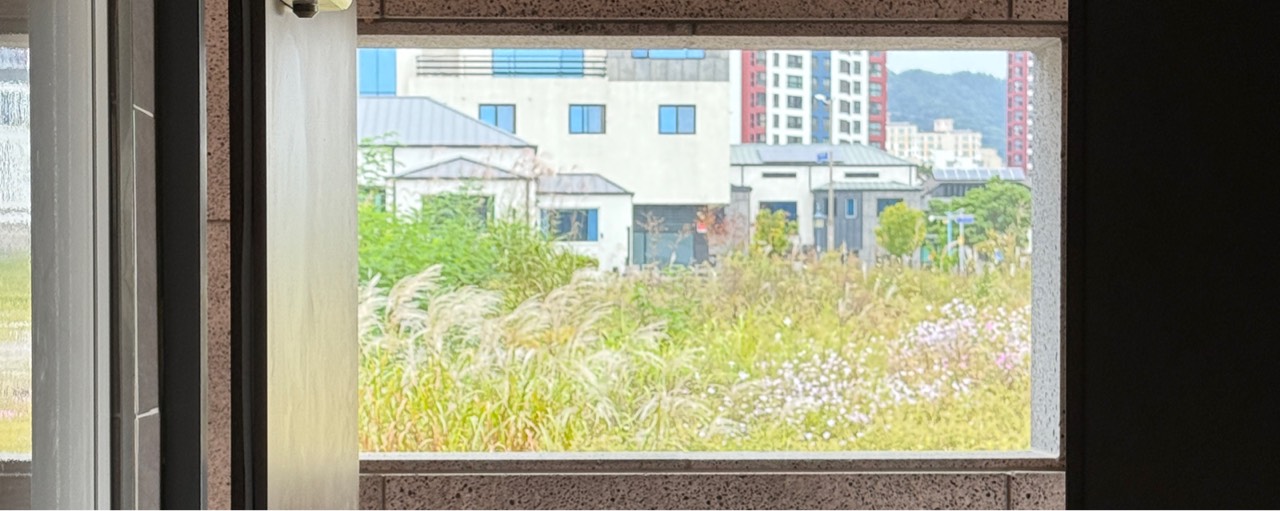 🏮 쉿 , 린 린 🍶