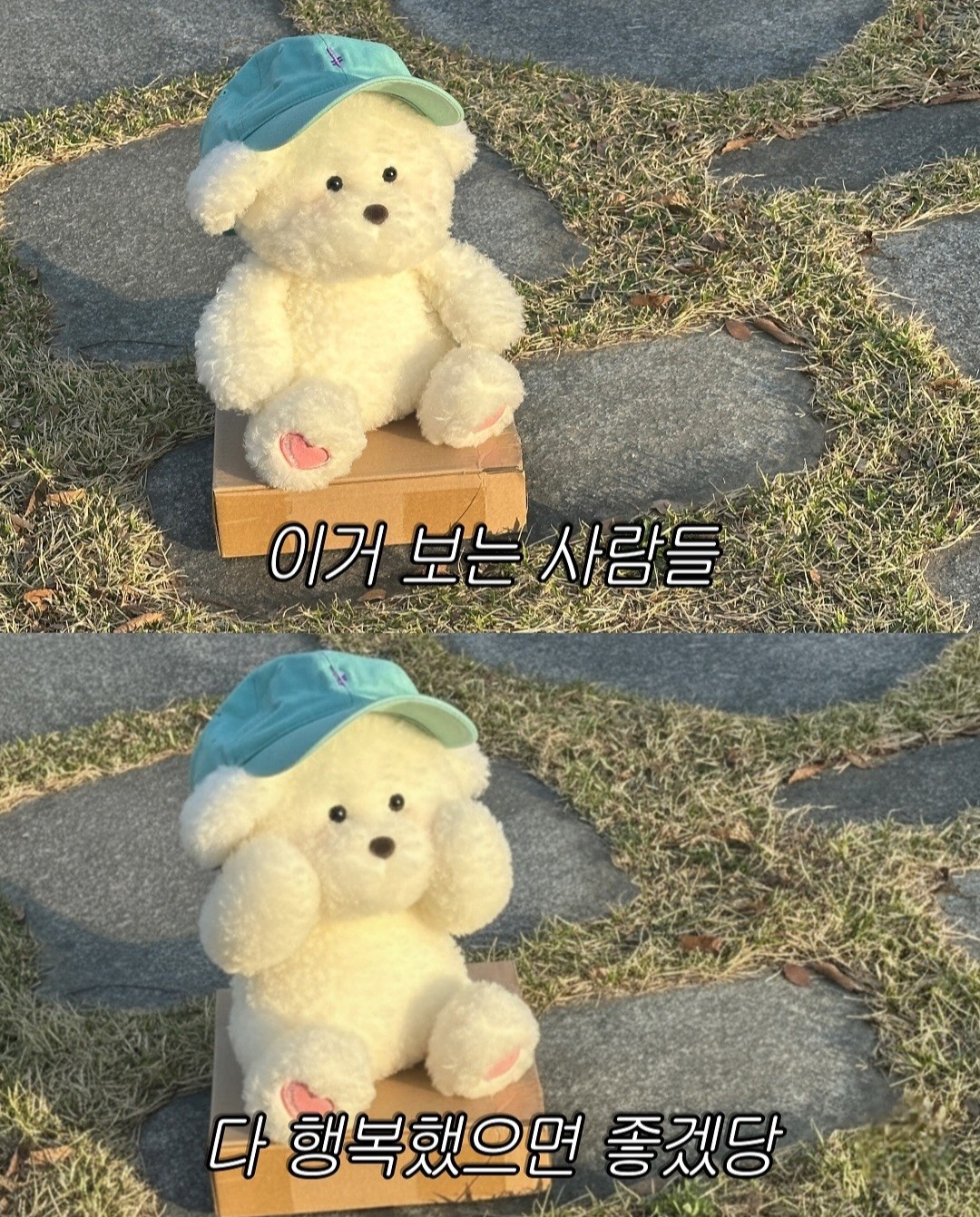박 뽀 용﹏✰