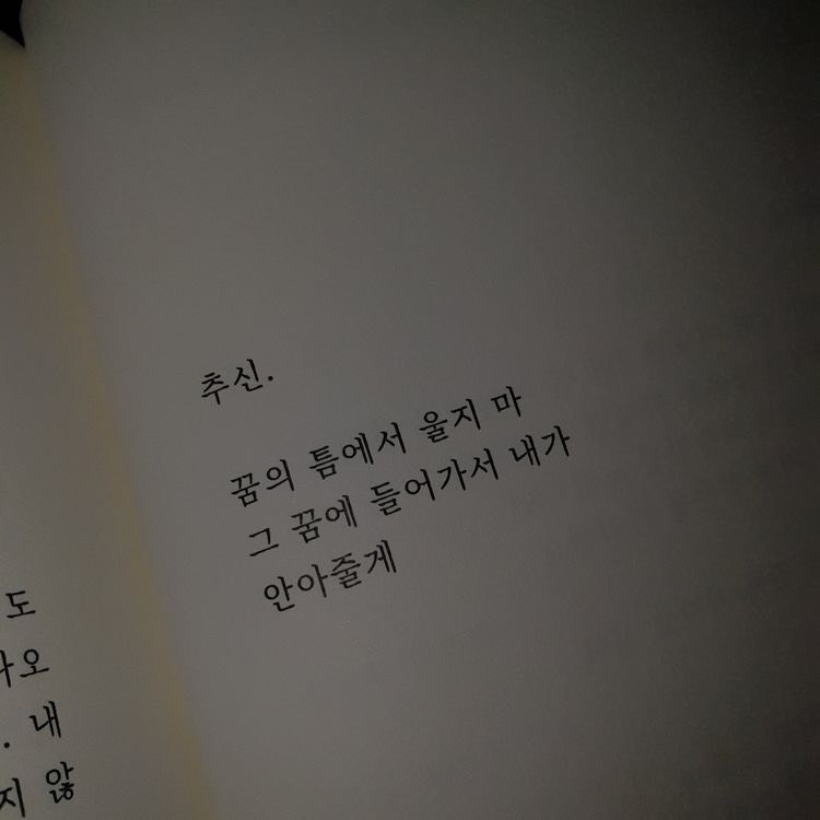 담  ⁺.