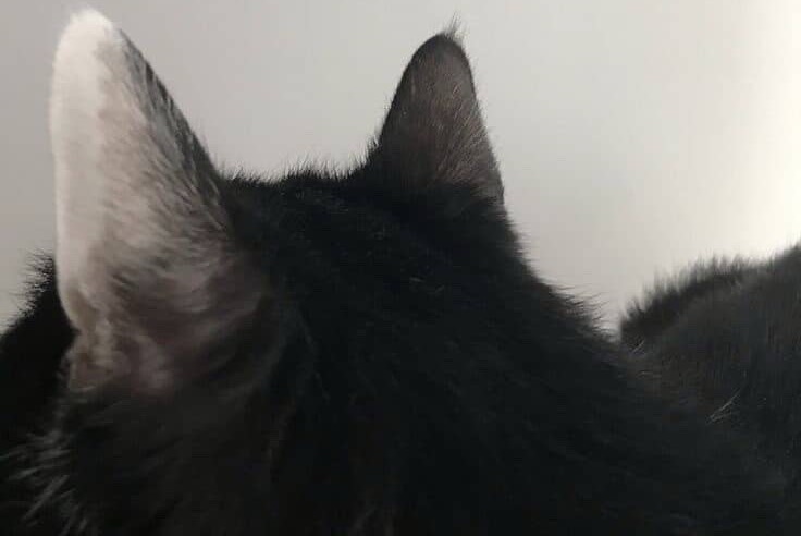 🚬깅 돌 멩  ᩚ