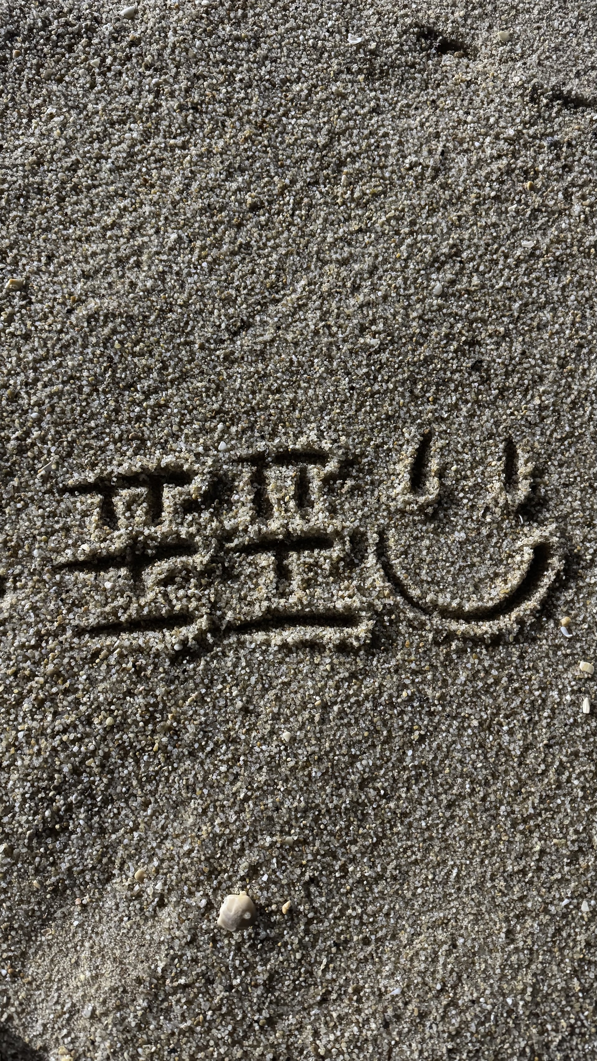 포포포포 ℯ𝒹𝒶