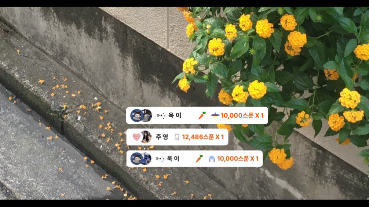 마 리