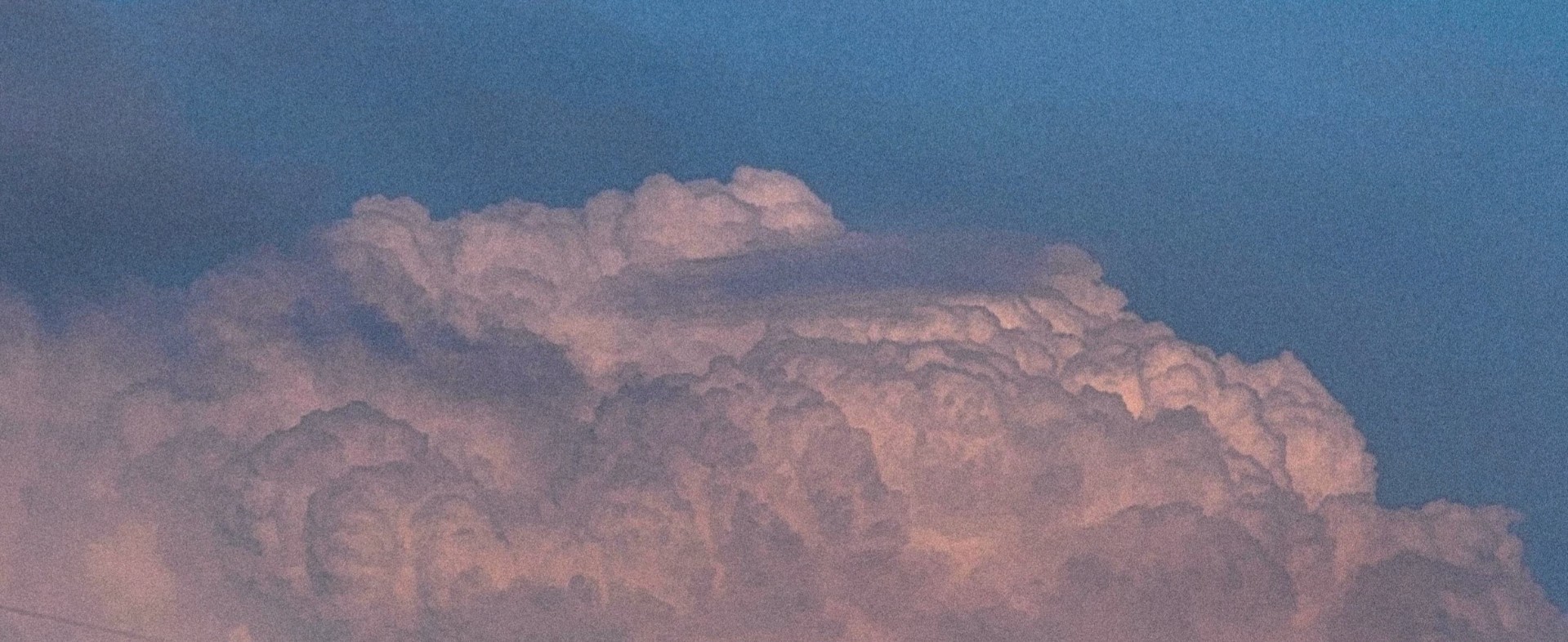 ⅅ℃ 땅콩이 №