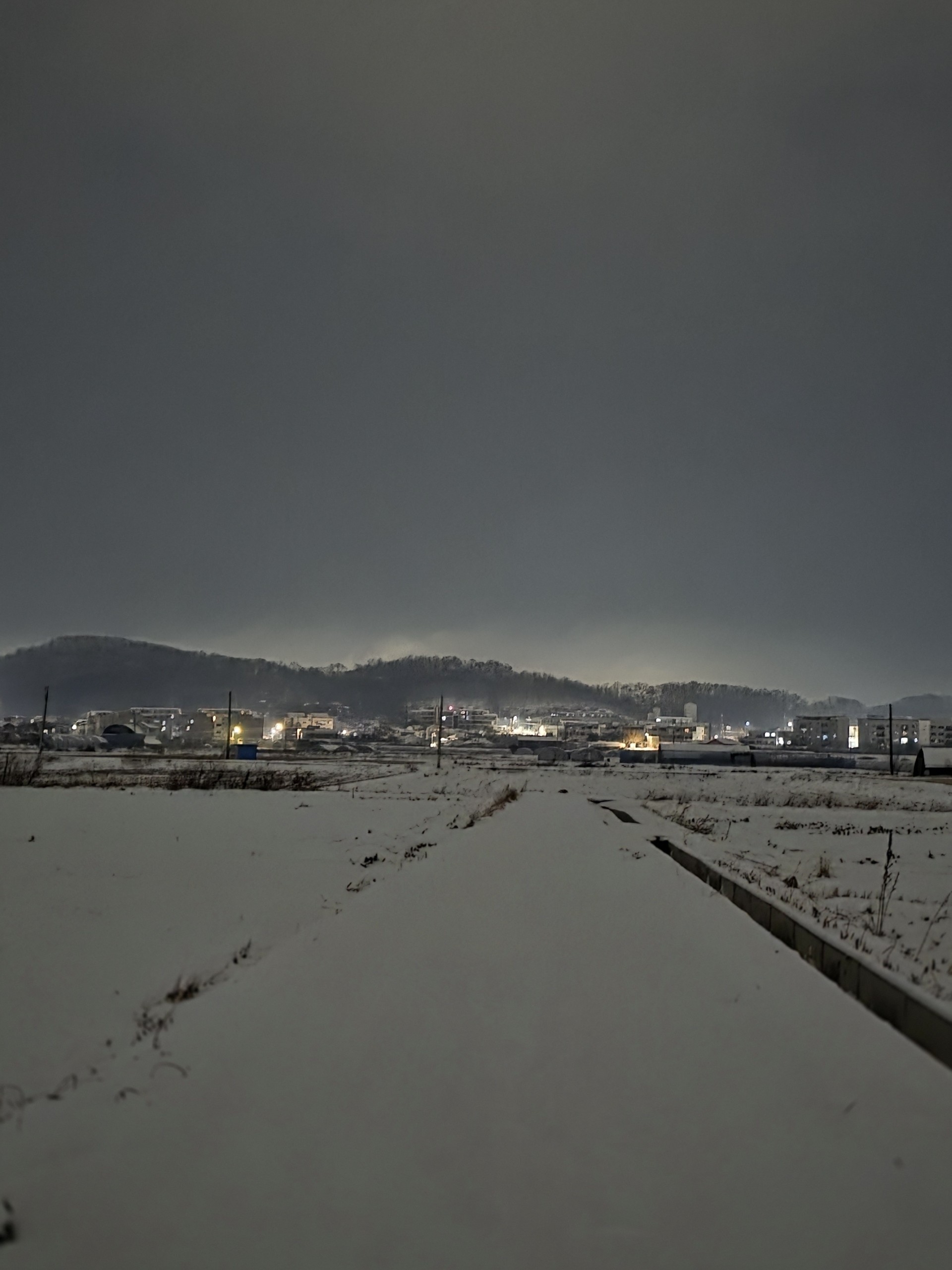 ℓσνє𓆉디⃢퓽  ₍ᐢ•ﻌ•ᐢ₎