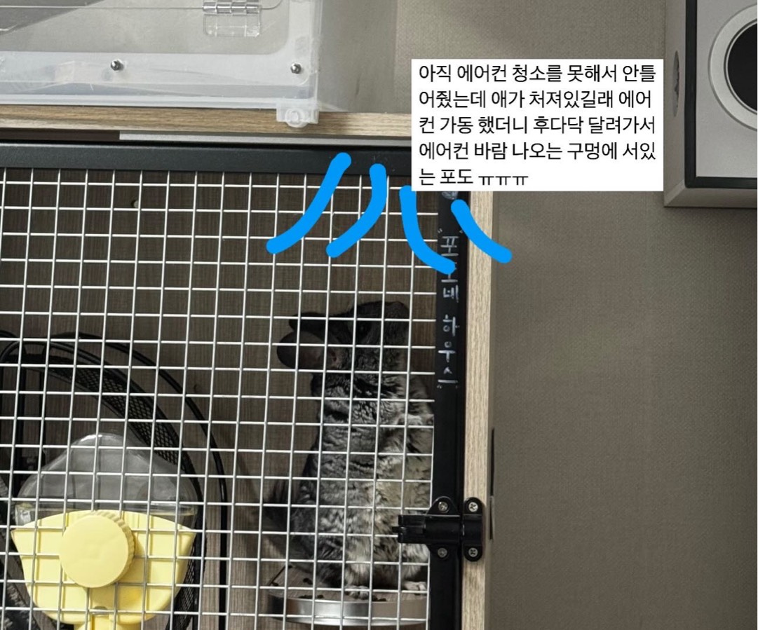 요호호호요호요호🎵