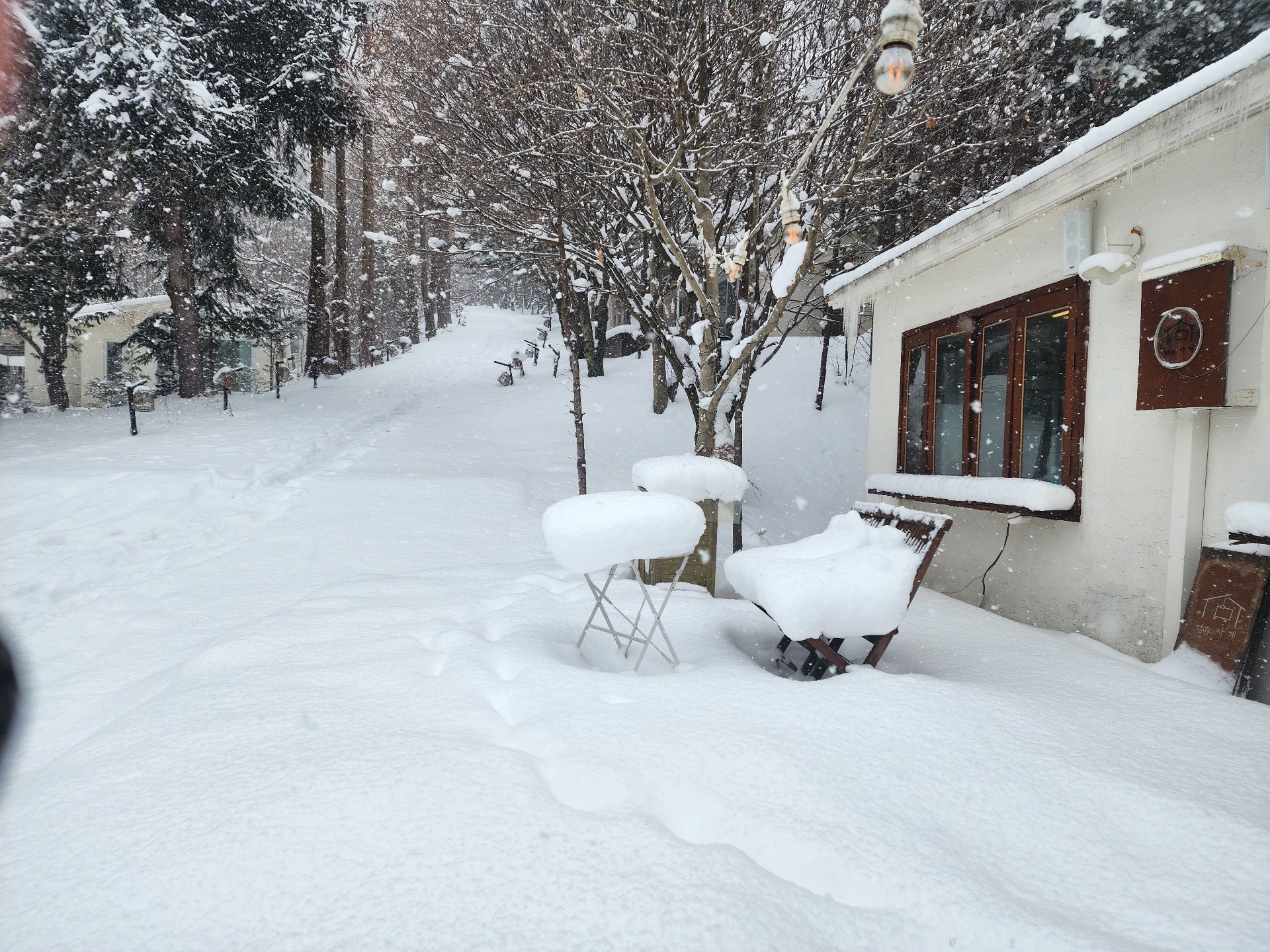 𑣲ʰᵃʳᵘ 쩨쩨 ꗯ̤̮