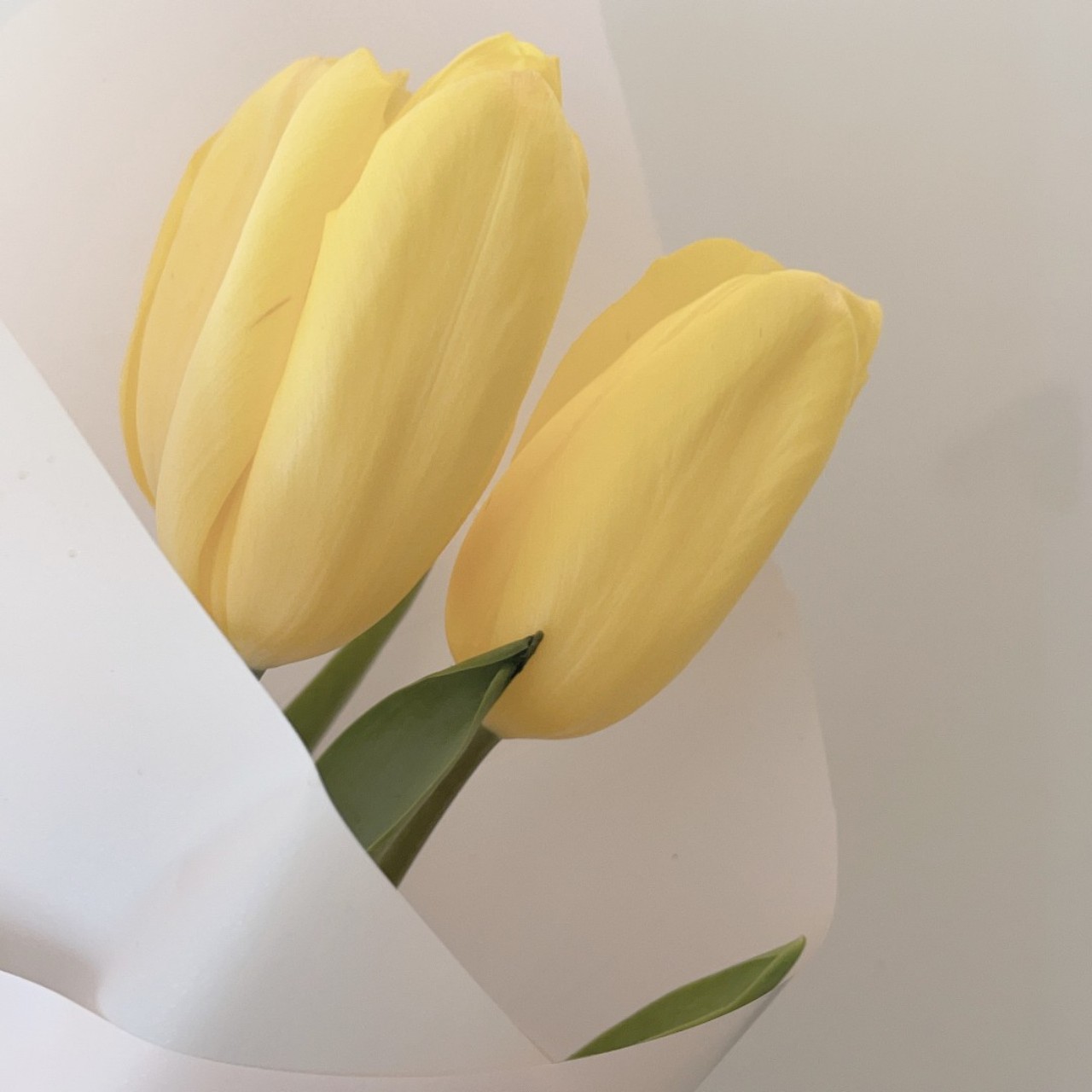 โน อ ๐๐๐๐๐