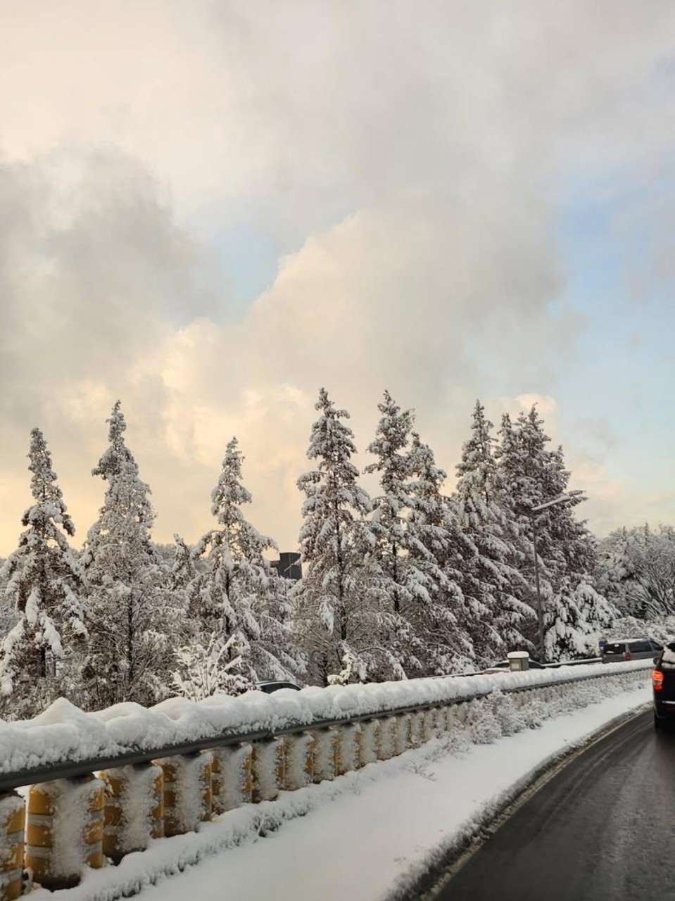 온니 ⠒̫⃝ⁿᴸʸ ♪.0_0