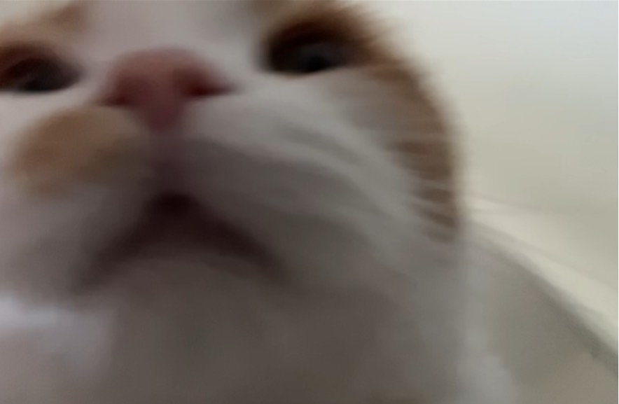 앙