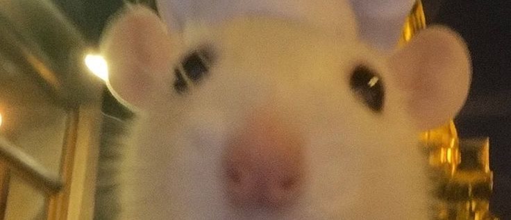 𝙾𝙽𝚂𝚃_찬이 ᶜʰ ᐝ