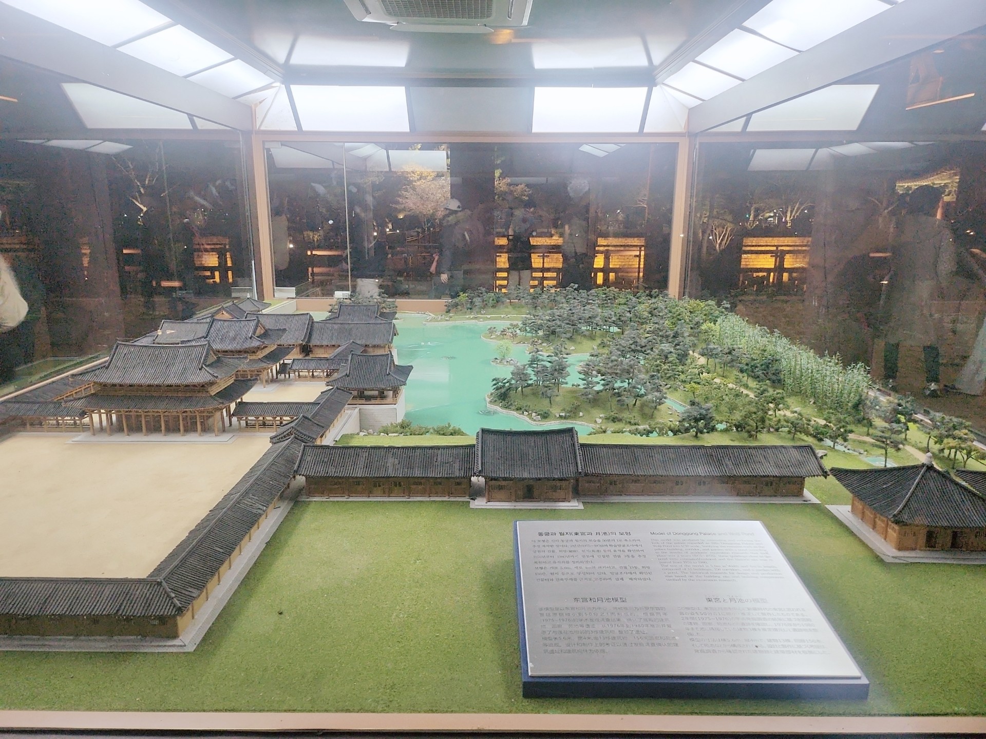 👶 튼튼공쥬님 엄마 비비드  🌸