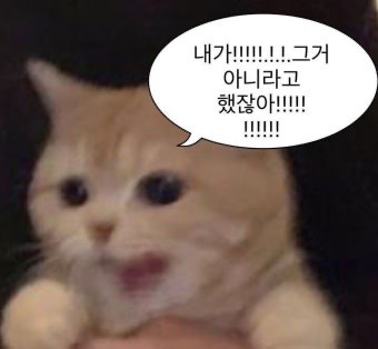 재재