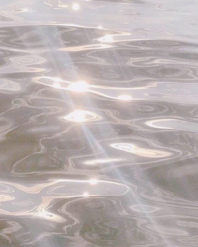 윤쓰만에 뚠뚠 찹살 고양이 연이