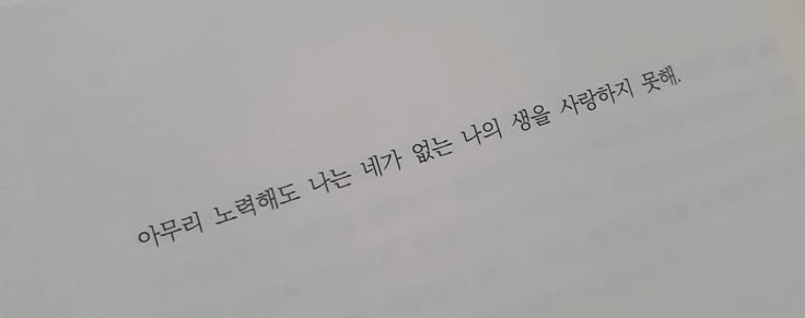 김 덕 팔 ﹏☘︎