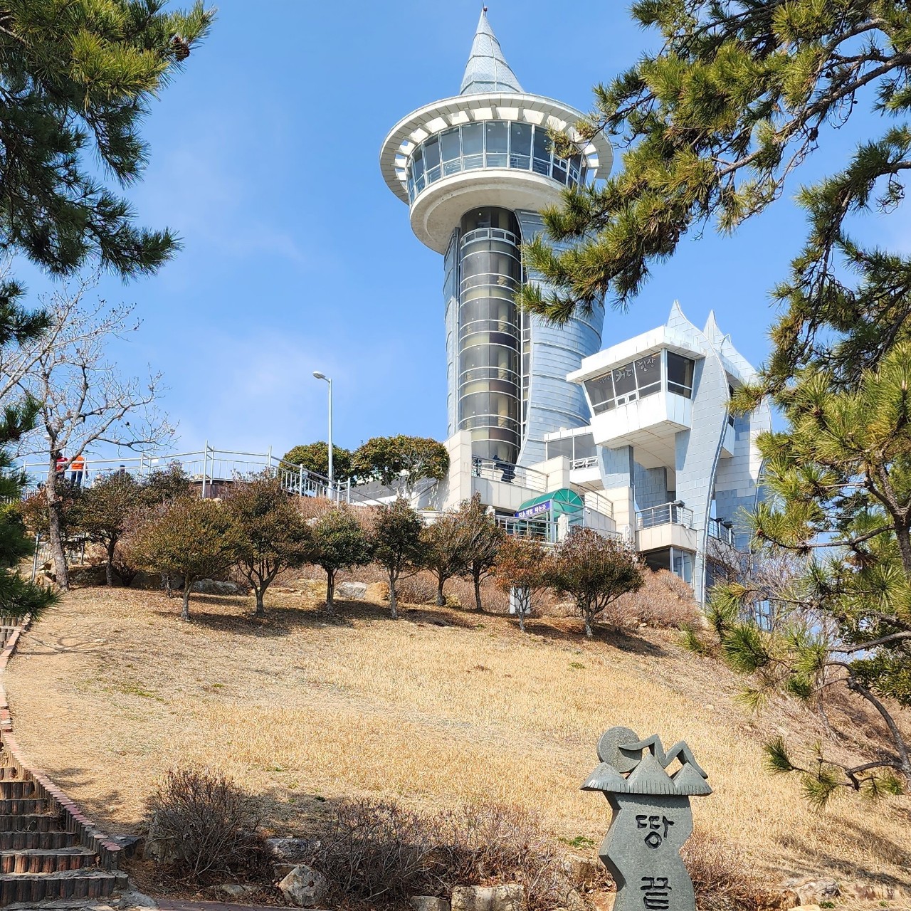 ℘͙ 의미있는   나무 𓇢𓆸ᷤ ⷩ