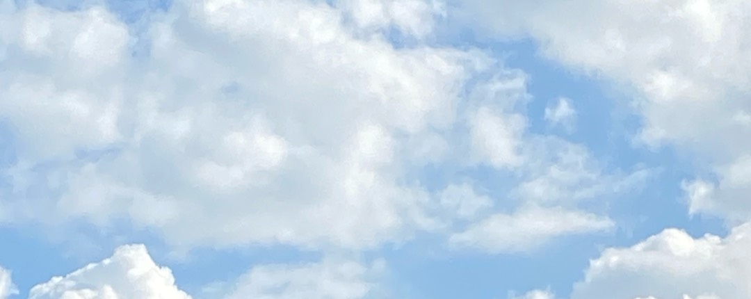 1 1 1