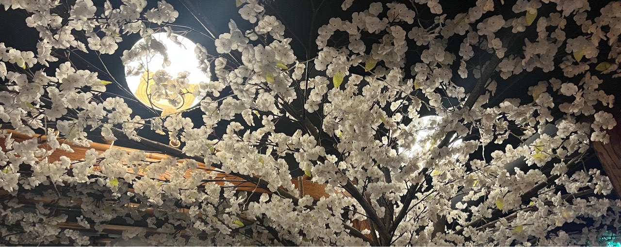 문지기 랭서판다🥀