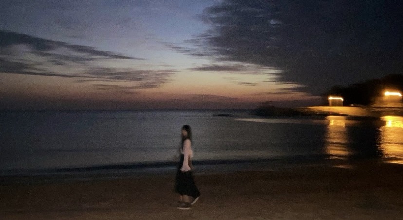 개와 늑대의 시간