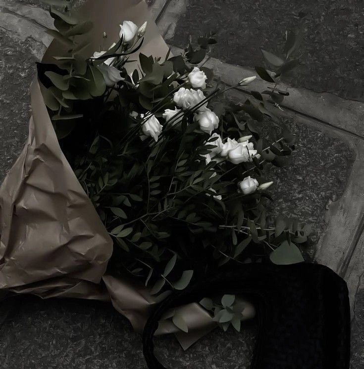 연_ .°𓅪