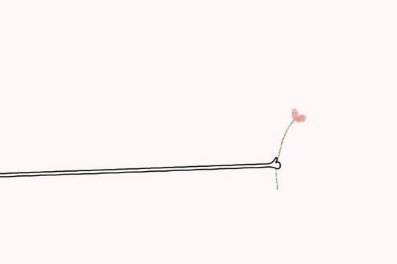 ↬ sᴇʀᴇɴᴅɪᴘɪᴛʏ.