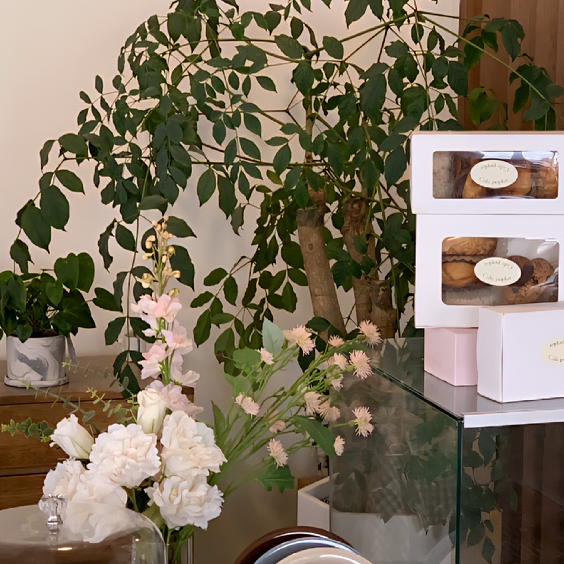 🎀ও𝓑𝓮𝓪𝓷੭.