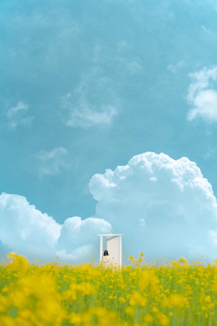 하 늘 천 국 ~*✈️ ⁸ʾ