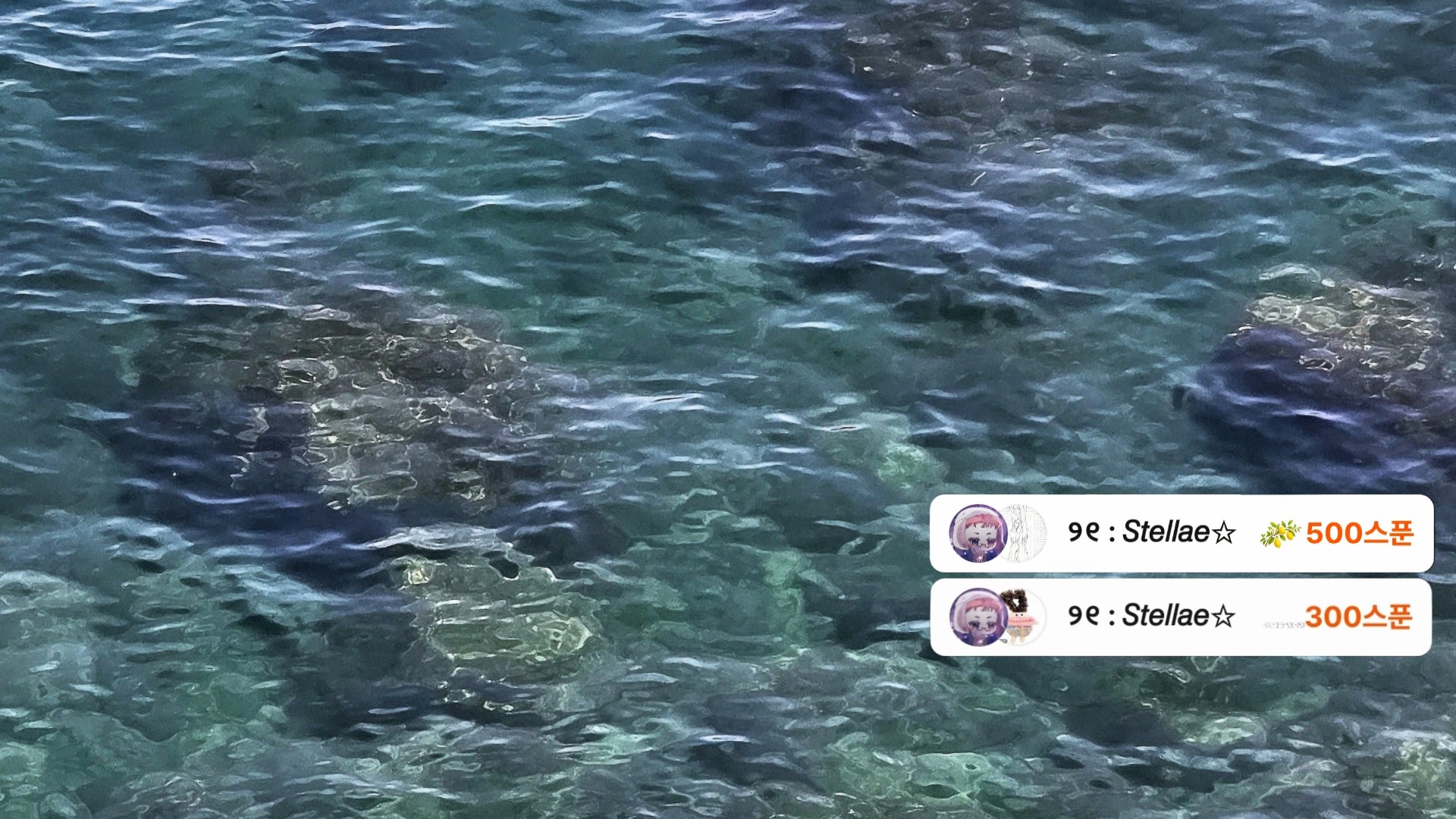 해 록             海
