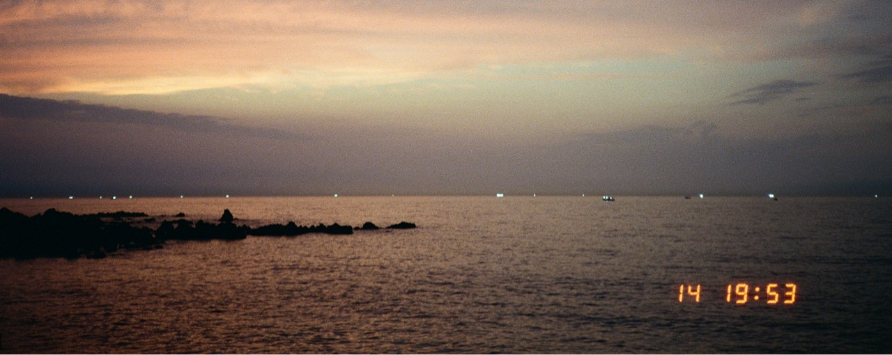 ᵗᵒᶰᵉGood_tree↟