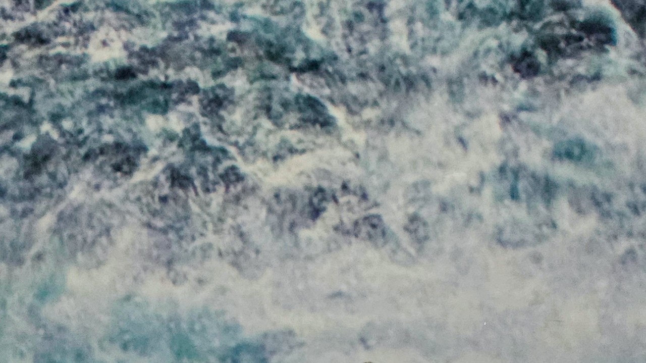 타냐_ ɴʏᴀ 🌼