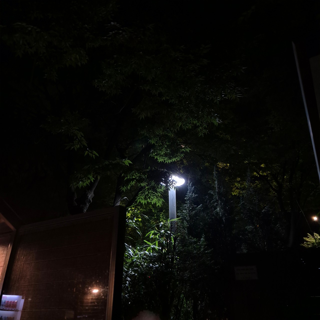 리 재 ₊‧☪︎ ✵・゚