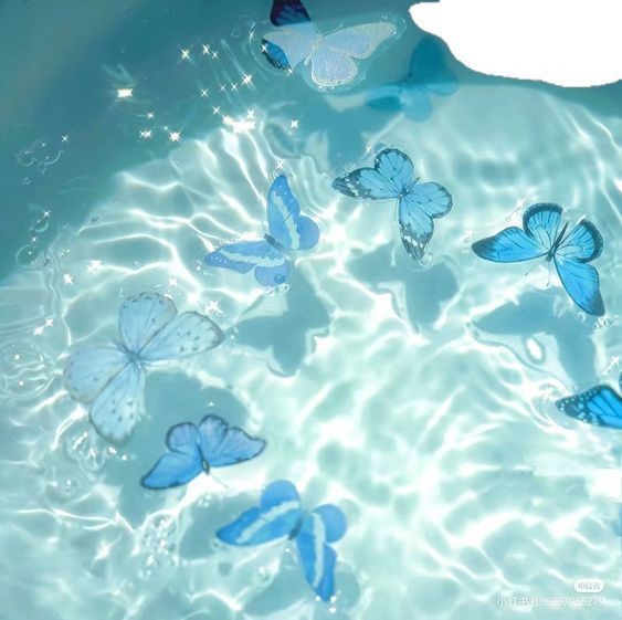 [蝶]달도리의 루령☪ 🔒