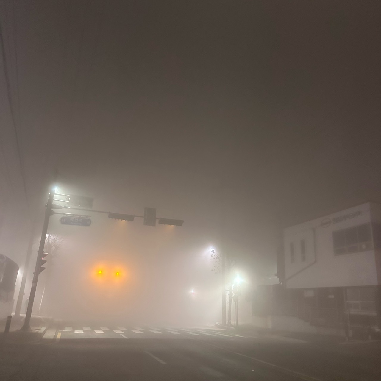 벨이만의 덩동이˖♡ﻬ