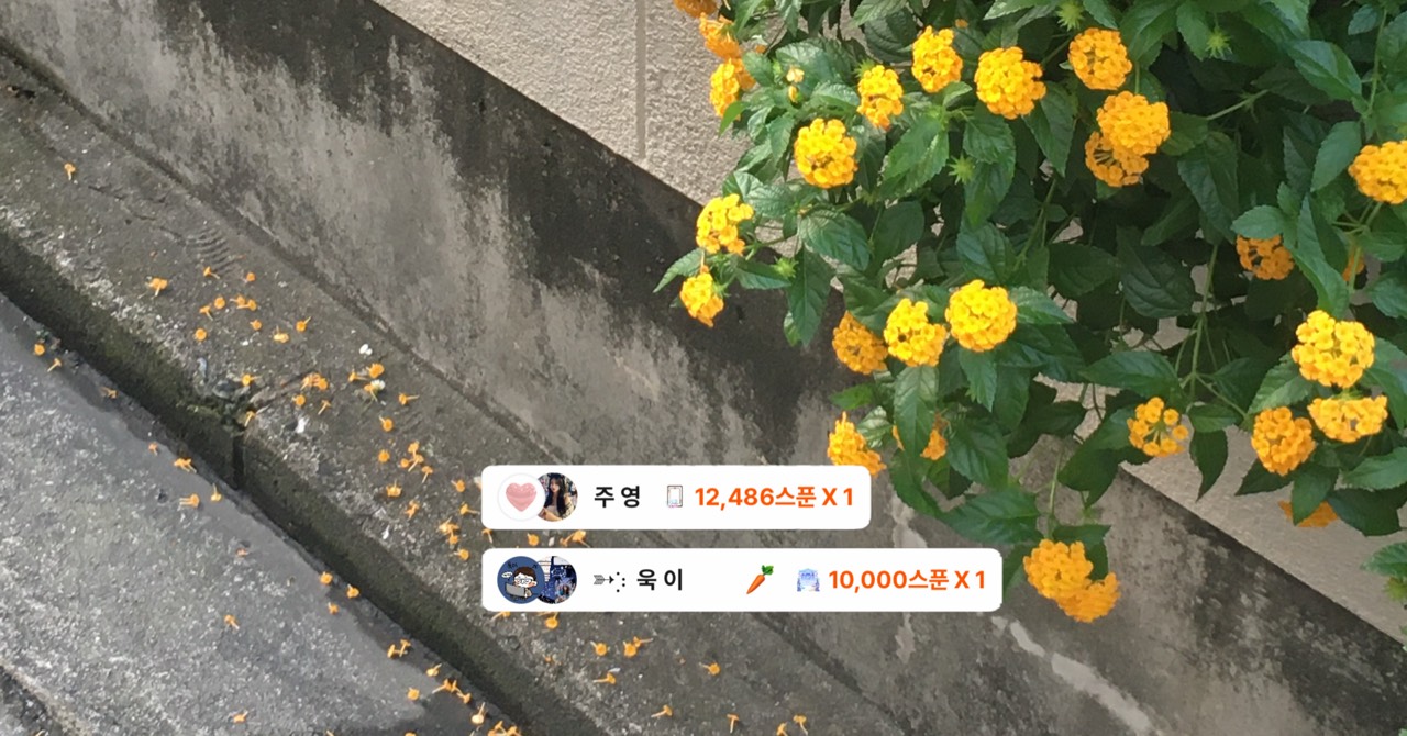 마  리