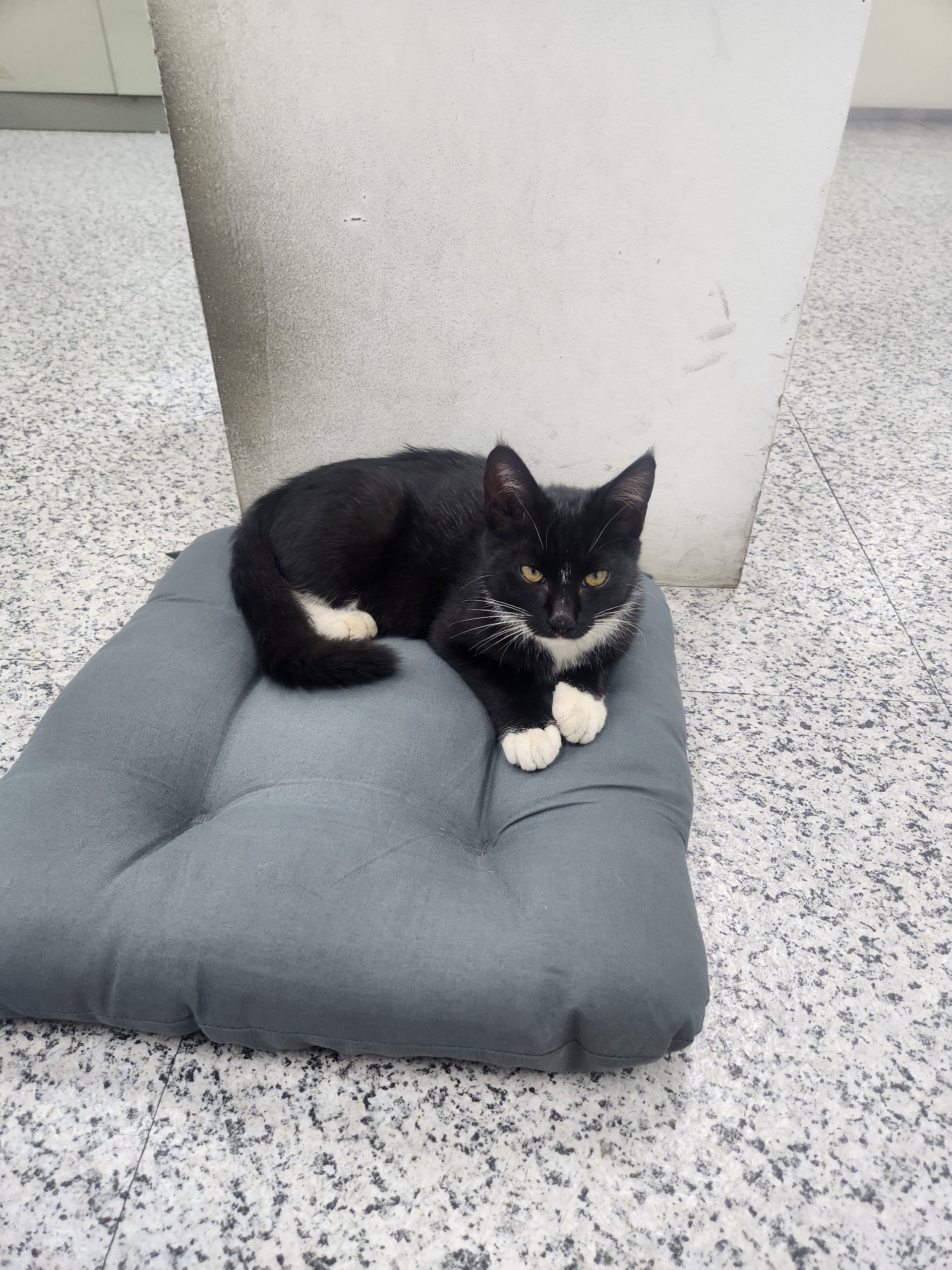 제 희☾⸙͎ 🪷 🤍