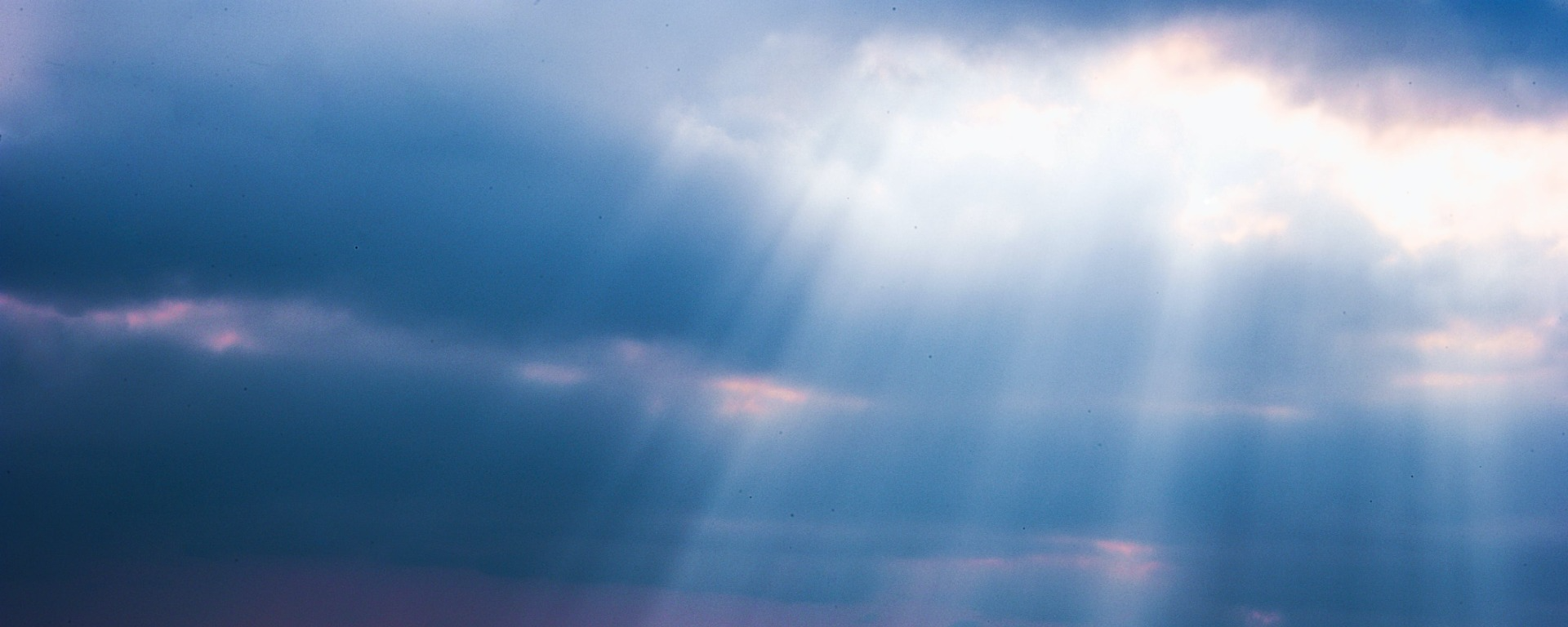 노래하는종싱௸