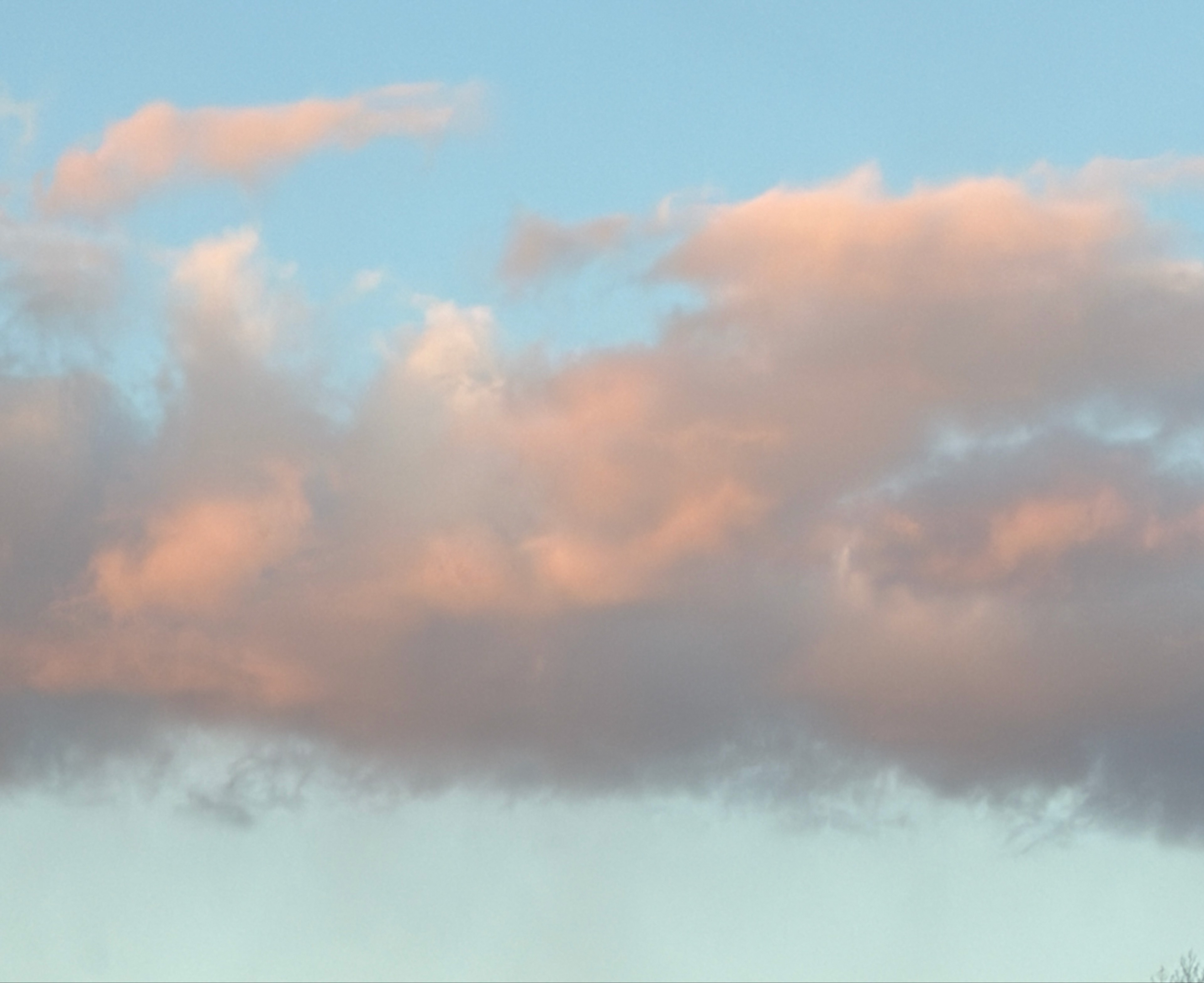 시으니          ❤︎ ༘ ໊