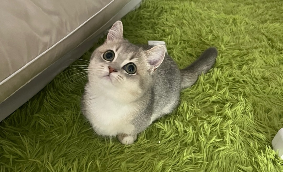 막기