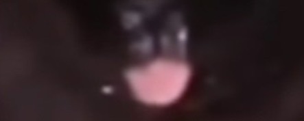 Deeeeeeeeeep