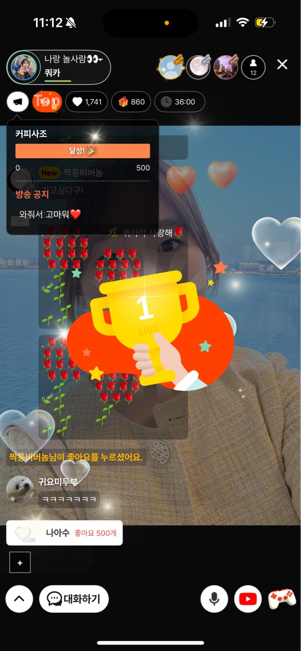 김쿼카
