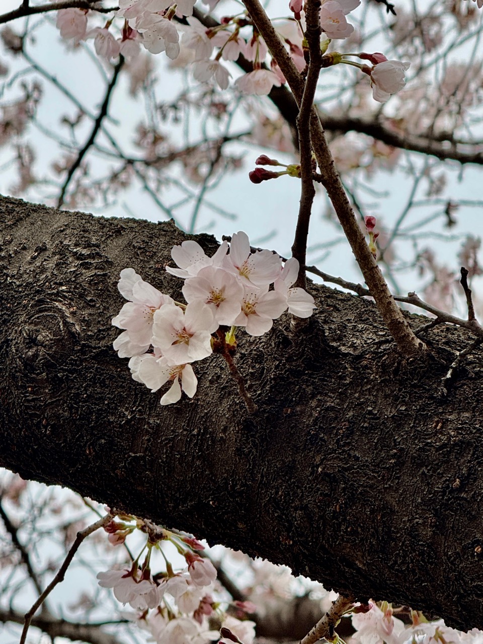 셀린바라기 ⁵¹⁹𝓁𝒾𝓃