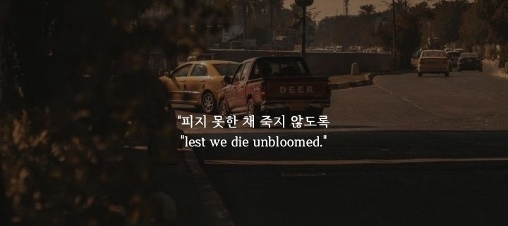 벼  리 ✎⎽ෆ ☽₊·